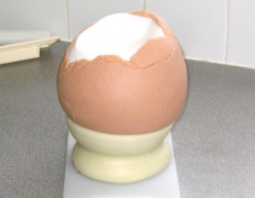 Egg on eggcup