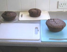 Chocolate madeira cakes
