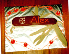 Swiss Army Penknife Cake - Alex's 8th