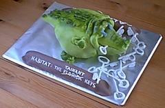 Alligator Money Box Cake - Alex's 21st