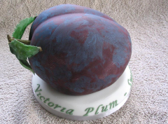 Victoria Plum Cake - Victoria's 25th